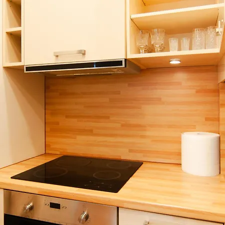 Apartmán Dzirnavu 113a 1-bedroom Riga
